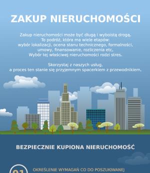 INFOGRAFIKA - zakup nieruchomości miniaturka